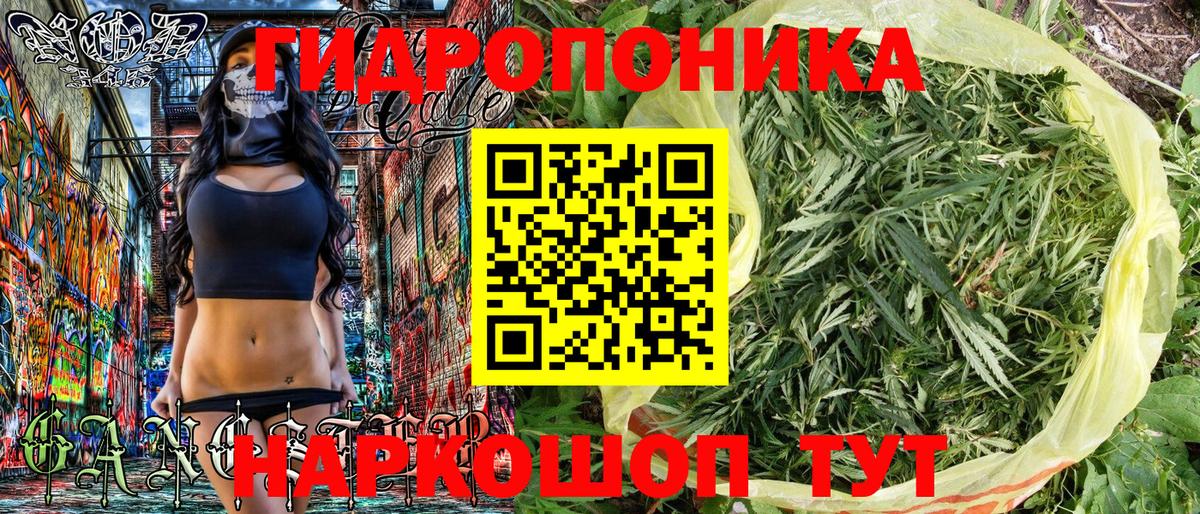 Каннабис планчик  Бошки марихуана AK-47  Вход с VPN  Ростов Великий  Марихуана AK-47 